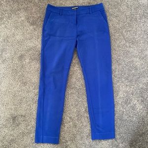 Express columnist dress pant